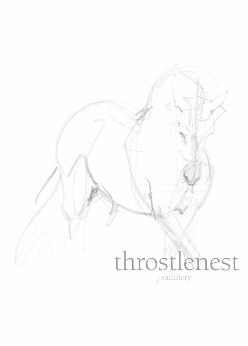 Shires Flexible Rubber Mouth Pelham Bit