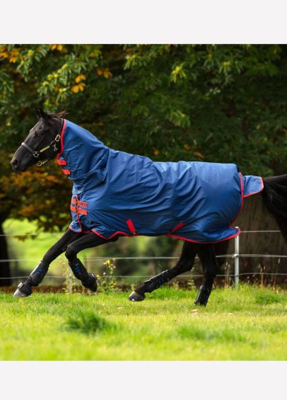 300g turnout rug with integrated neck