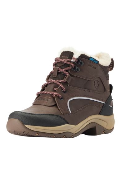 Ariat Telluride Insulated H20 Boot - Dark Brown
