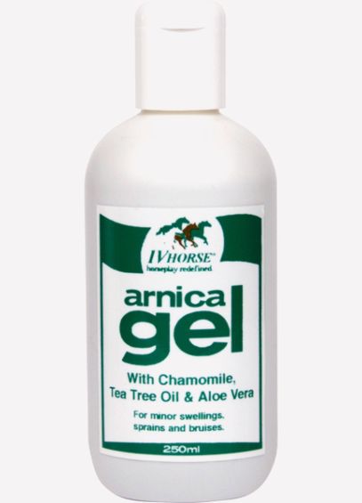 IV Horse Arnica Gel