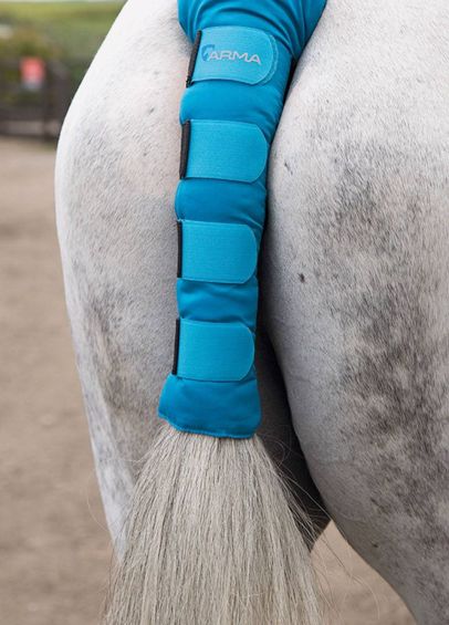 Shires Arma Padded Tail Guard - Bright Blue