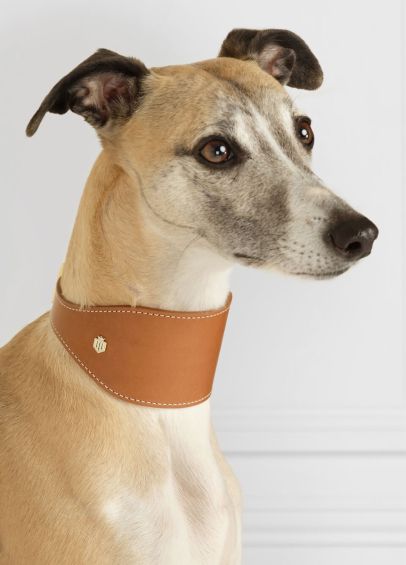 Fairfax & Favor The Fig Whippet Dog Collar - Tan Leather