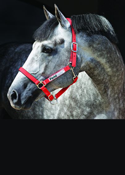 Horseware Fieldsafe Headcollar - Red