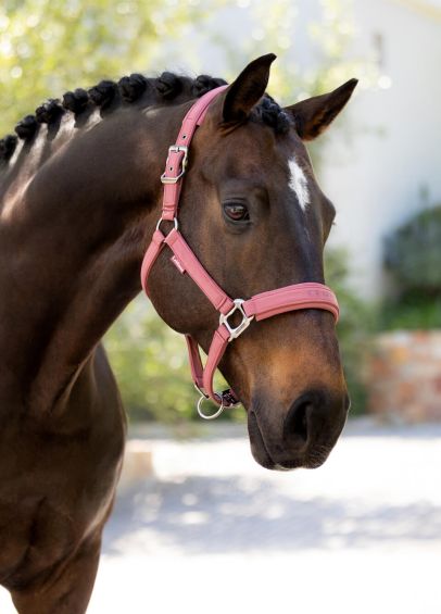 LeMieux Essence Headcollar - Rosewood