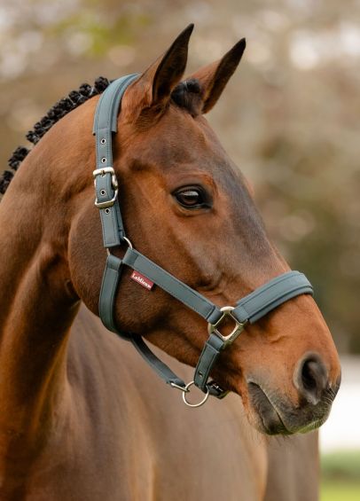 LeMieux Soft Shell Headcollar - Petrol