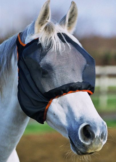  Equilibrium Field Relief Midi Fly Mask (No Ears) - Black/Orange