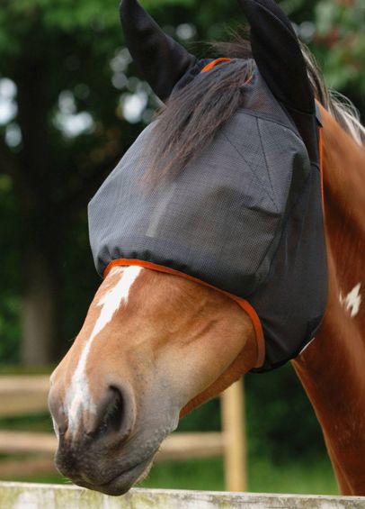 Equilibrium Field Relief Midi Fly Mask With Ears - Black/Orange