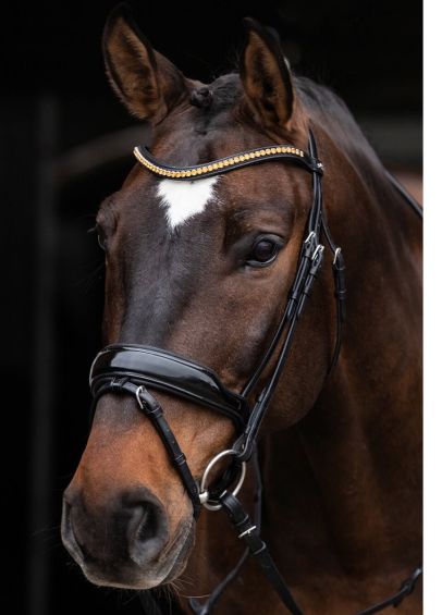 Schockemohle Stanton Select Flash Bridle - Black/Orange