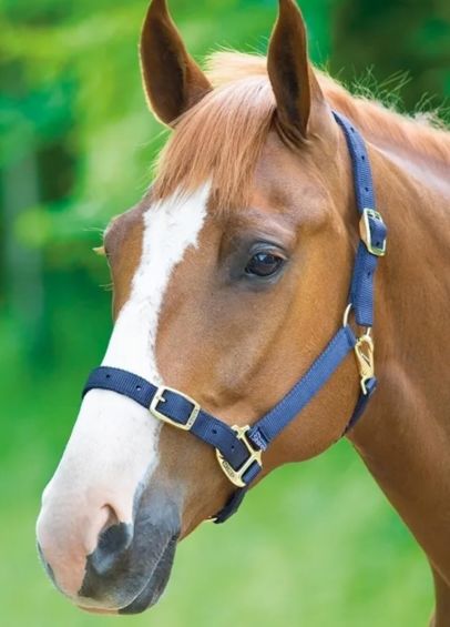 Shires Nylon Adjustable Headcollar - Navy