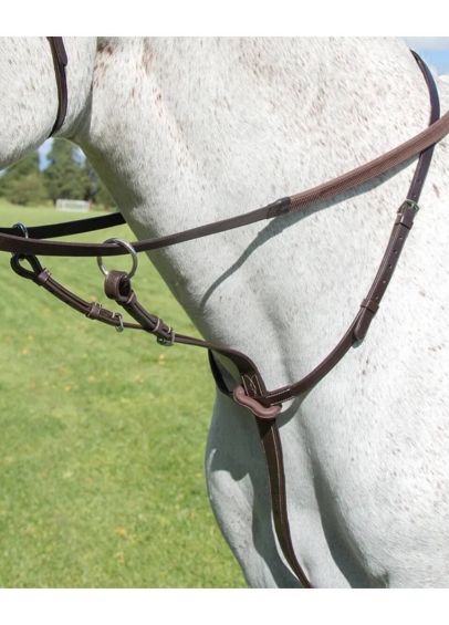 Shires Avignon Running Martingale - Havana