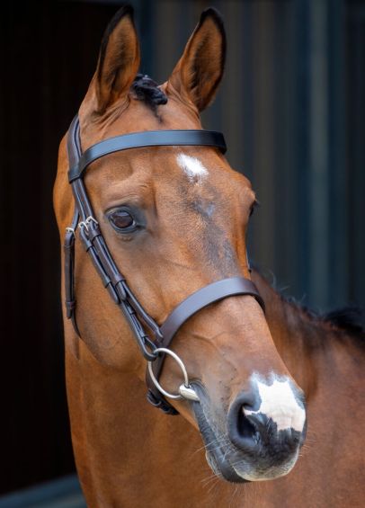 Shires Lusso Hunter Cavesson Bridle - Havana
