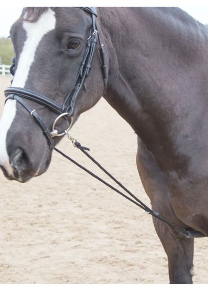 Shires Soft Lunging Aid - Black