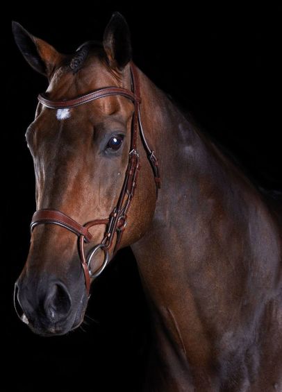 Collegiate Comfitec Training Bridle - Brown