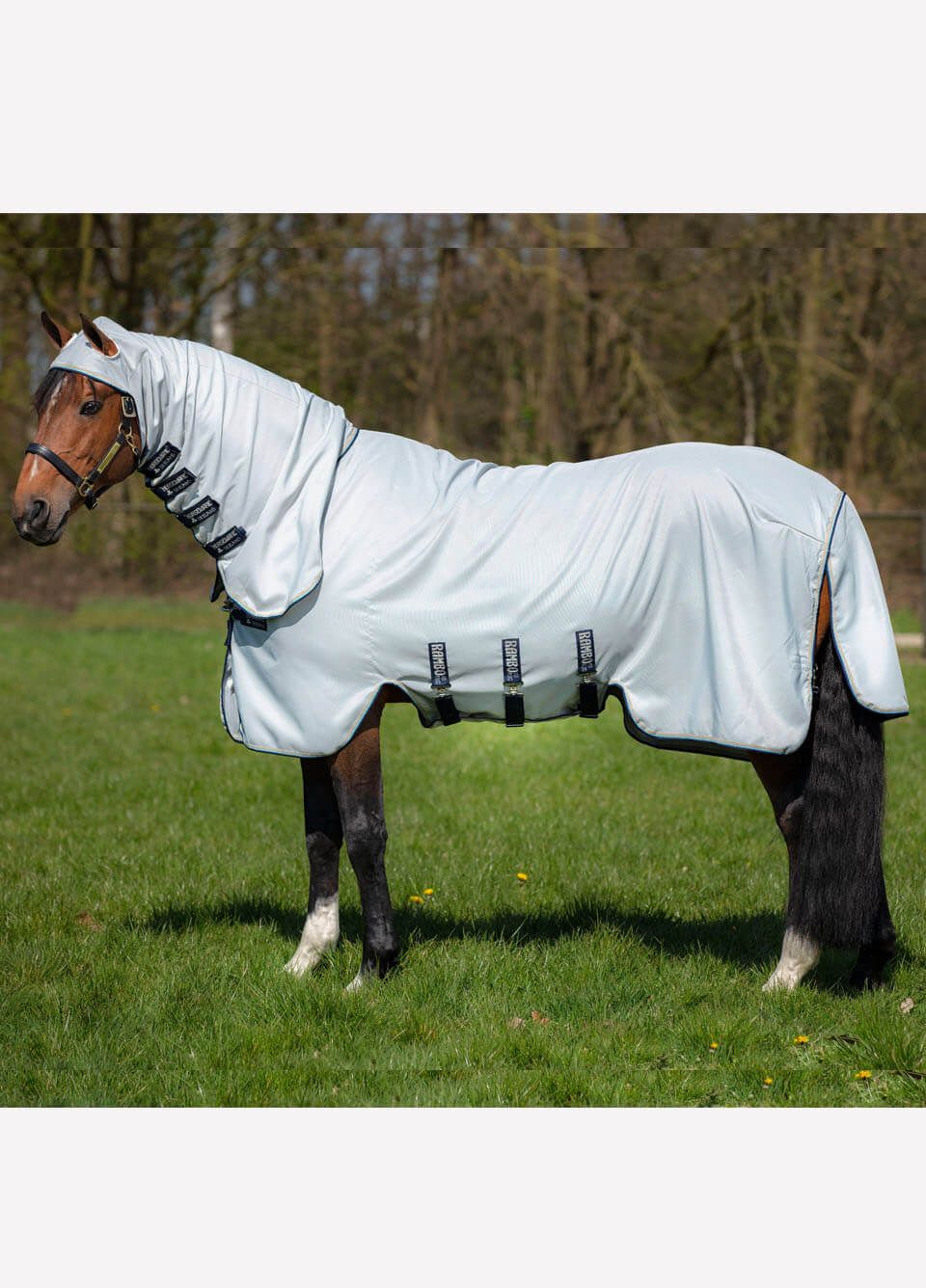 Horseware sweet itch rug hotsell