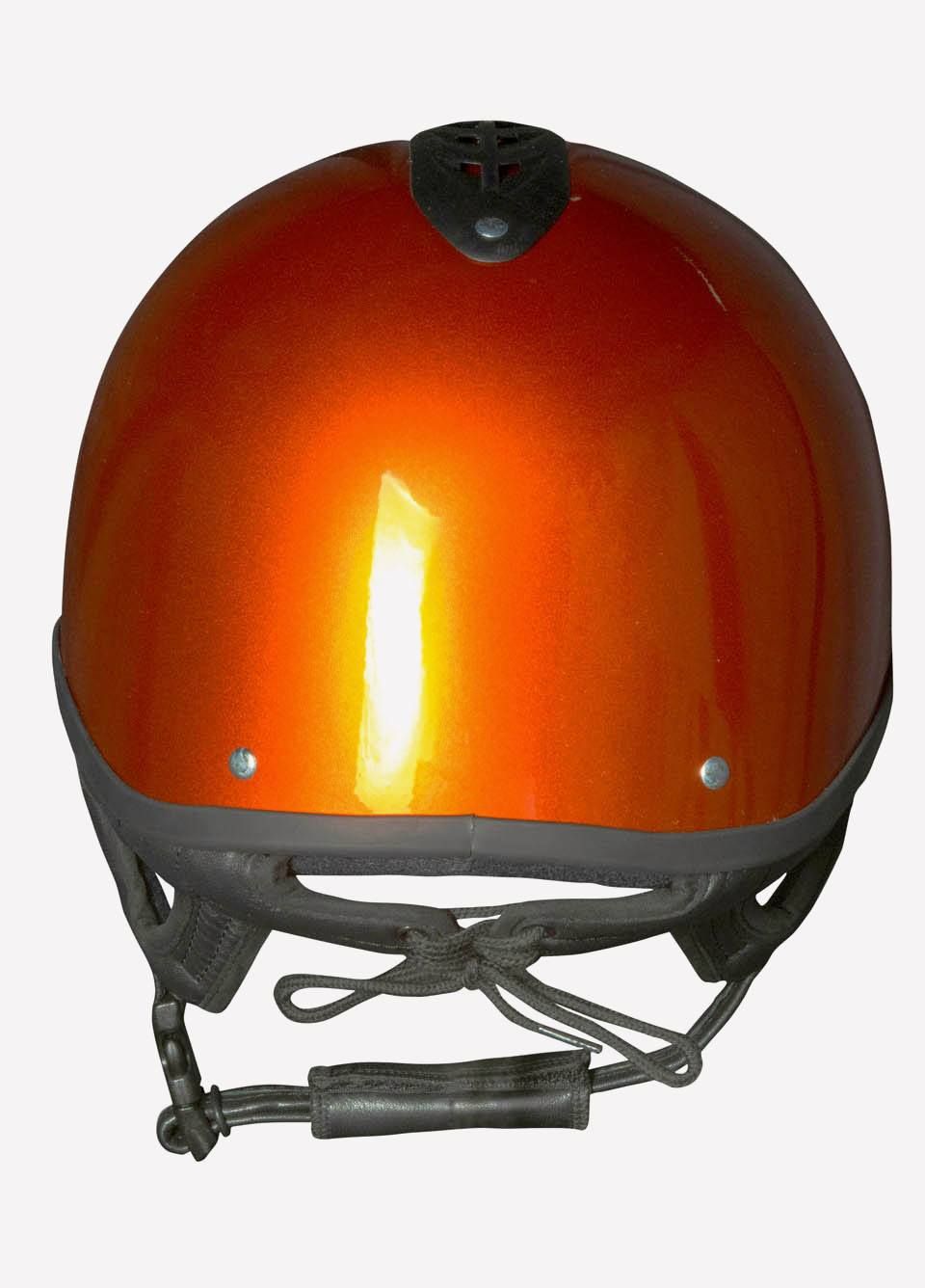 Champion Jockey Special 美品 中古】Champion Jockey: Gallop Racer & GI Jockey - Wii