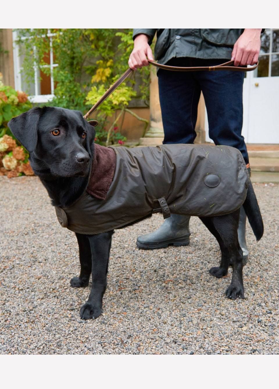 barbour dog coat uk