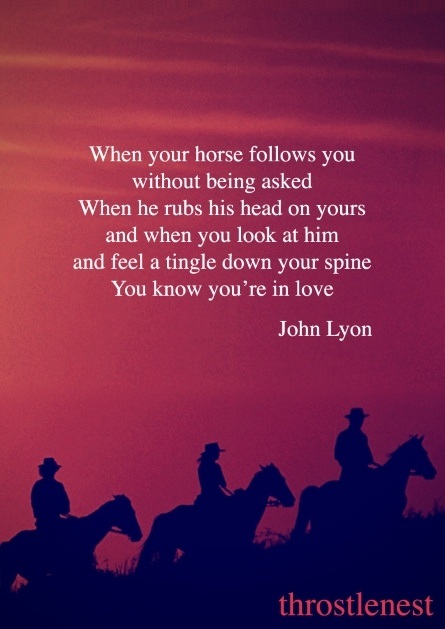 horse riding in the evening with inspirational quote